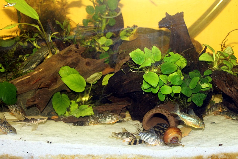 Żremy:D - minuta po wrzuceniu