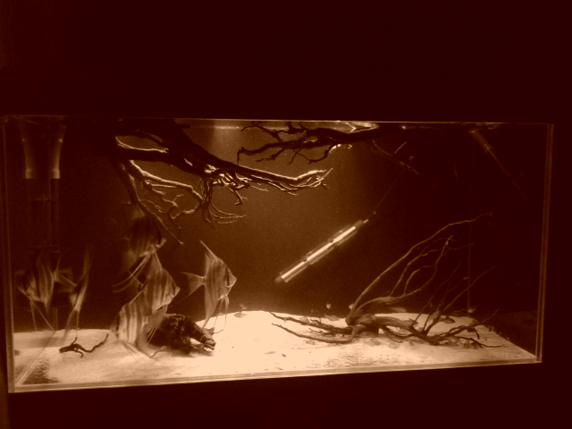 Bez polskich znaków, staraj się ich używać chyba, że nie masz do nich dostępu.<br />Pozdro