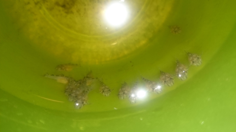 DSC_0201.jpg popr.jpg